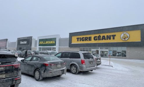 Tigre Géant Chicoutimi