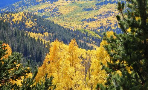 Knight Financial Limited