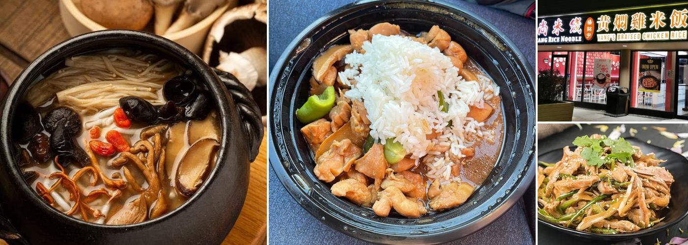 Yang's Braised Chicken Rice(Waterloo)杨铭宇黄焖鸡米饭