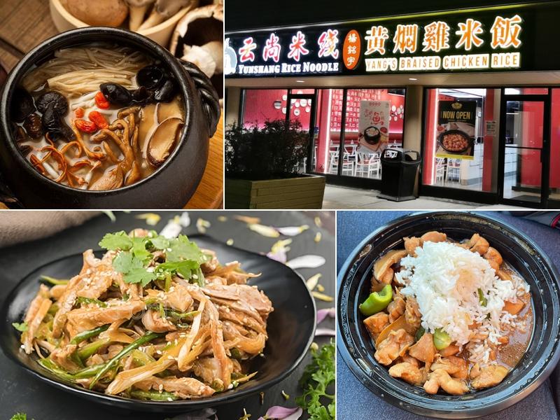 Yang's Braised Chicken Rice(Waterloo)杨铭宇黄焖鸡米饭