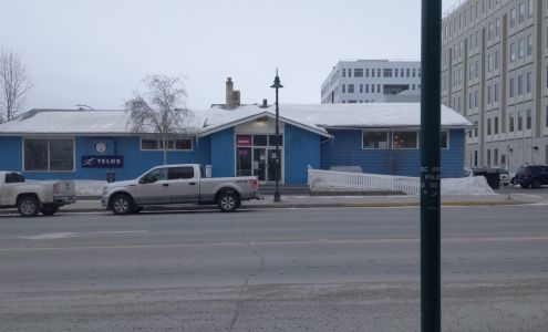 Williams Electronics Inc.