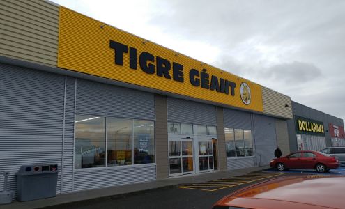 Tigre Géant Matane