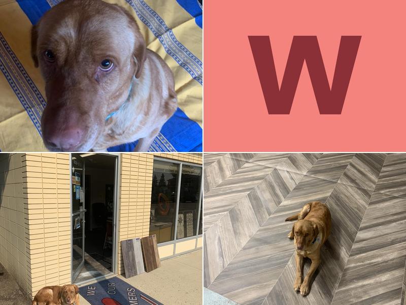 Westlock Decorating Ctr Ltd