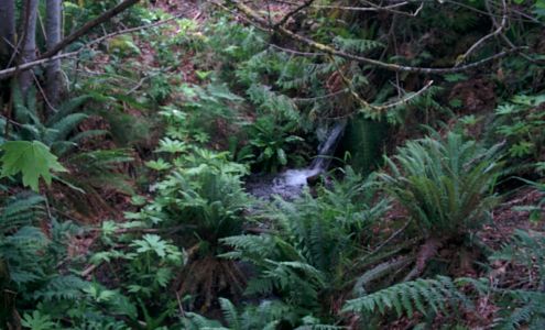 Gord's Fly Box & Goodies Lake Cowichan