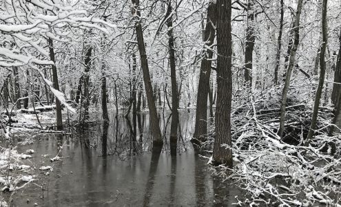 Lac Du Bonnet Dental Clinic 39 Park Ave, Lac du Bonnet Manitoba R0E 1A0