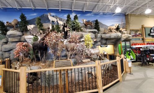 Sunglass Outfitters by Sunglass Hut