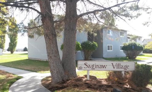 Saginaw Village Hines