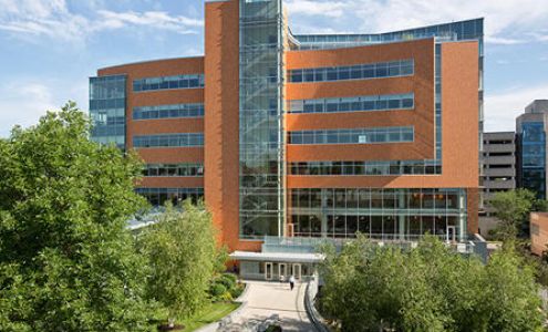Mayo Clinic Orthopedics and Sports Medicine