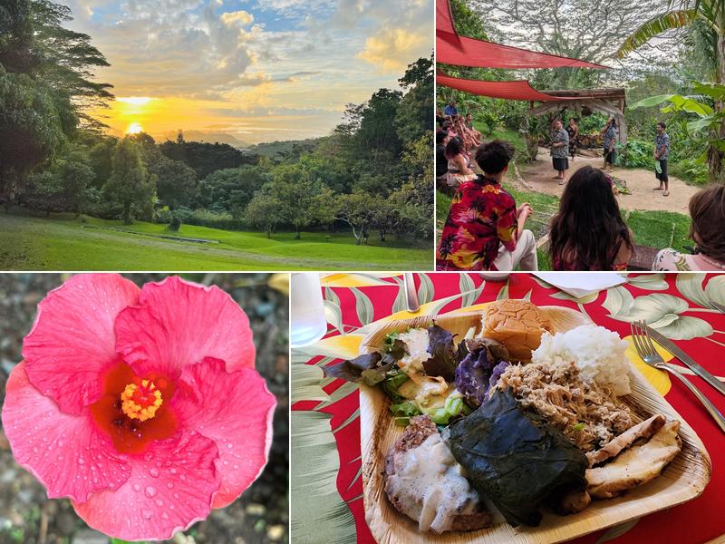 Experience Nutridge 3280 Round Top Dr, Honolulu