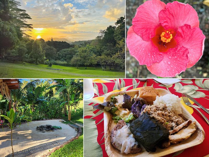 Experience Nutridge 3280 Round Top Dr, Honolulu