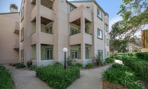 Solace Apartment Homes