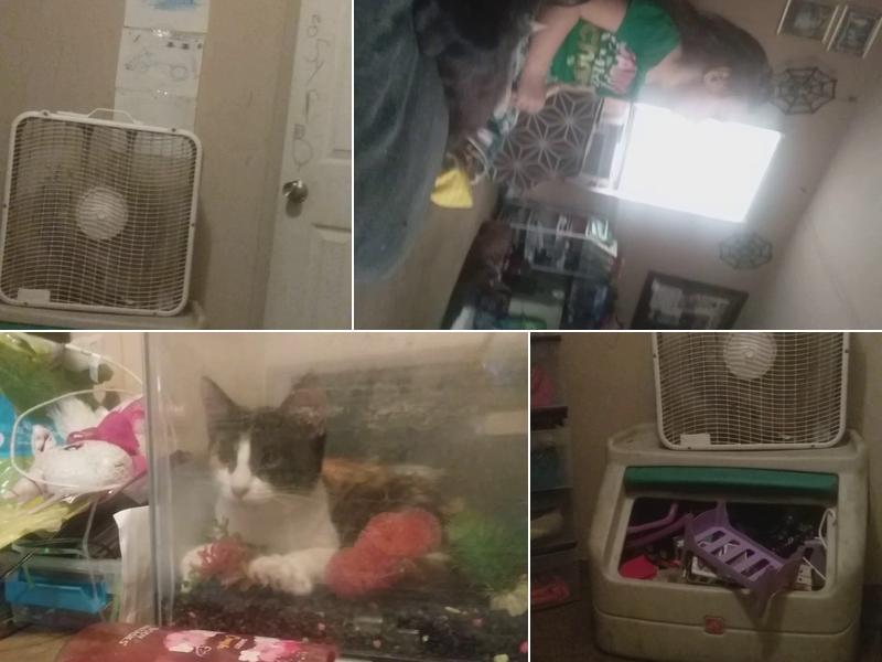 Bryson Wealth Strategies