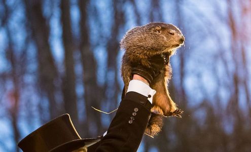 The Chariot Group - Morgan Stanley