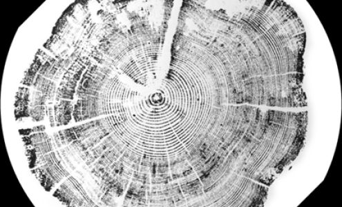 Meeder Investment Management