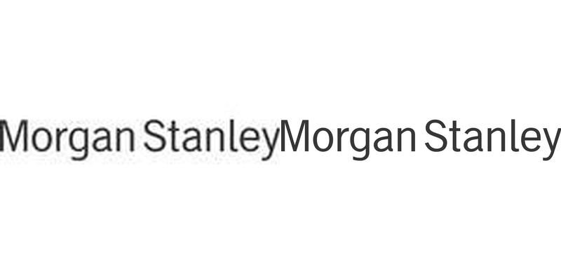 The Lake Union Group - Morgan Stanley