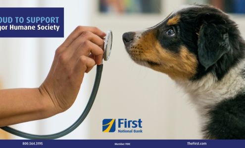 Camden Financial Consultants