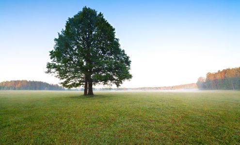 Lane Financial Strategies