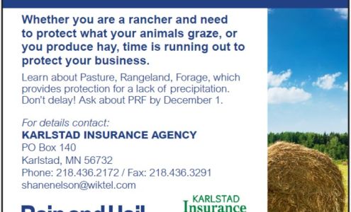 Karlstad Insurance Inc 201 Main St, Karlstad Minnesota 56732