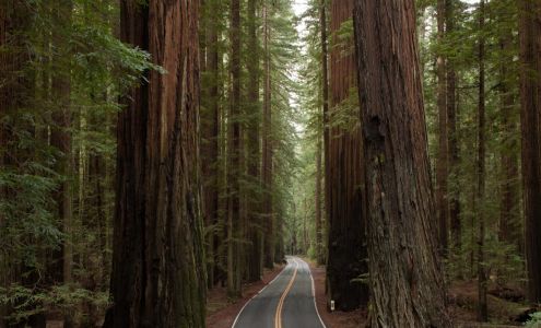 Premier Financial Group