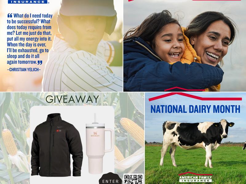 David Smith American Family Insurance