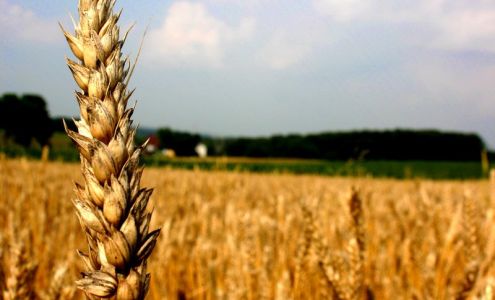 Graybeal Group, Inc.