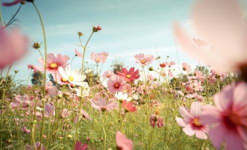 Waterford Advisors, LLC