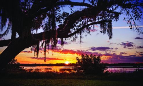 Silver Oak Leaf Financial Services