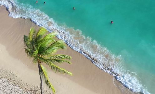 Ryan Ku-Borden - Ohana Mortgage Loan Officer