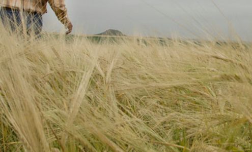 DeShaw Agency 920 W 1st Ave, Plentywood Montana 59254