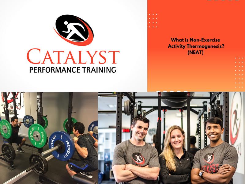 Catalyst Performance Training