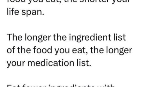 Wonderfully Made Personal Training