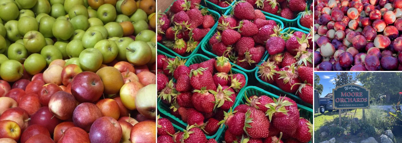 Moore Orchards