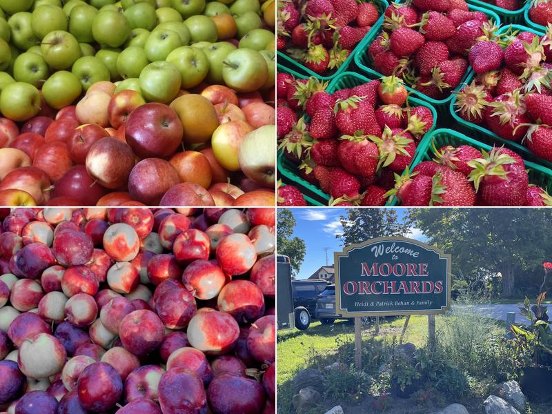 Moore Orchards 1497 Moore Orchard Rd, Cobourg