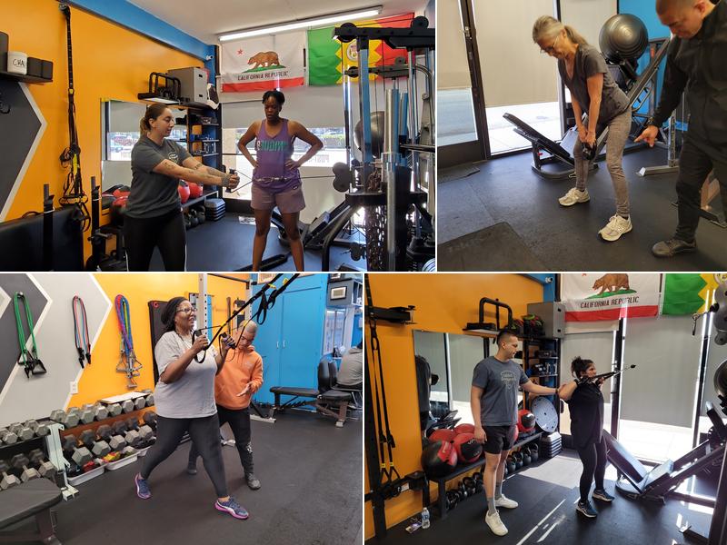 Logic Fitness Studios