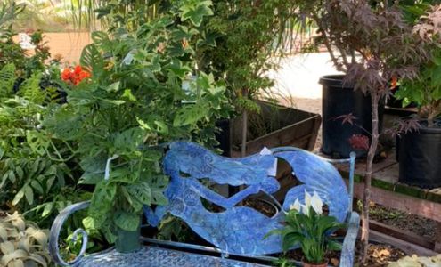 Anderson's La Costa Nursery