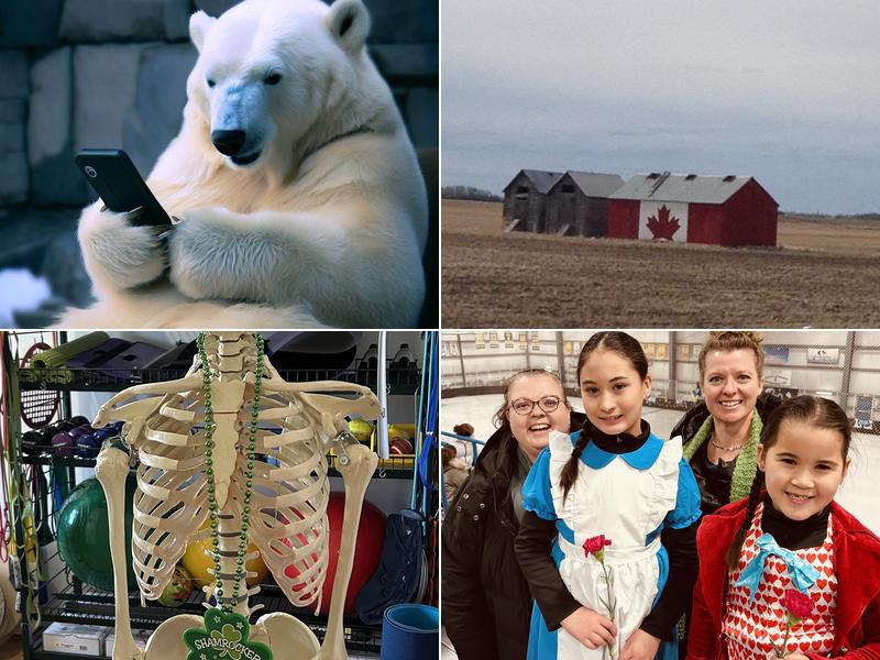 Berwyn Athletic and Physical Therapy Inc.