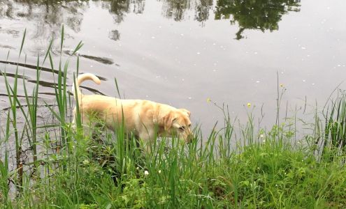 Marmora Arena Marmora