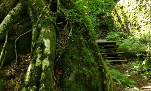 Bureau d'accueil touristique de Saint-Michel-des-Saints Saint-Michel-des-Saints