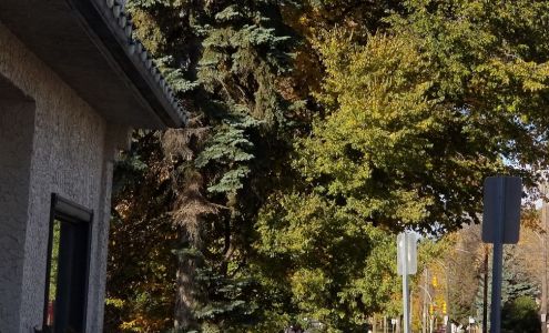 A1 Accounting Group LLP