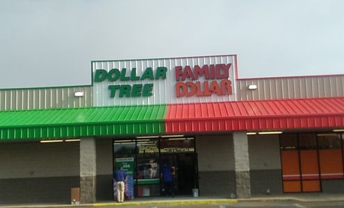 Dollar Tree Evergreen