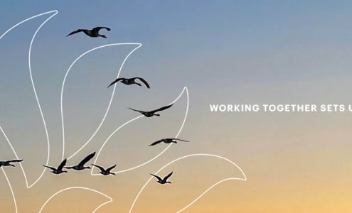 HBK CPAs & Consultants