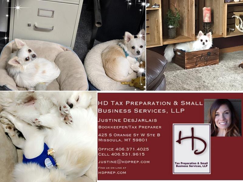 HD Tax Preparation & Small Business Services