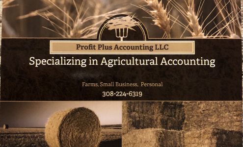 Profit Plus Accounting LLC
