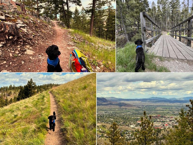 Instant Tax Solutions