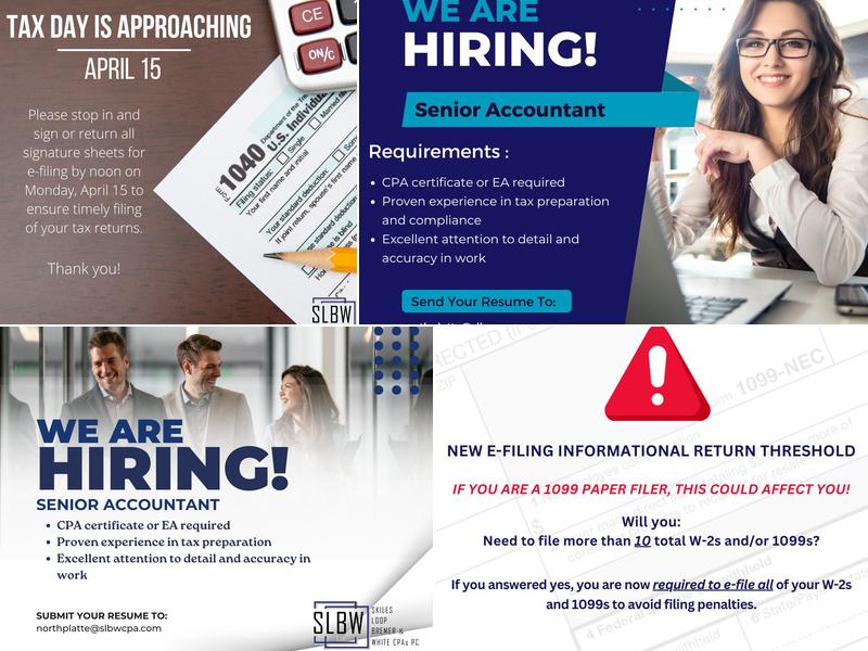 Skiles Loop Bremer & White CPAs PC