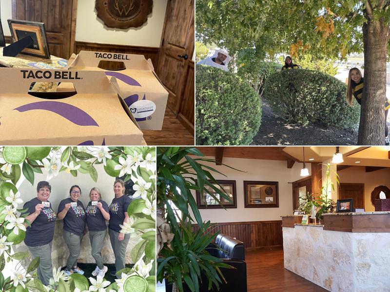 Jason Wall DDS PA Knickerbocker