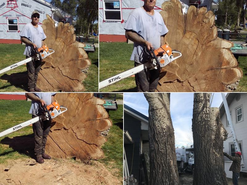 High Plains Tree And Sewer
