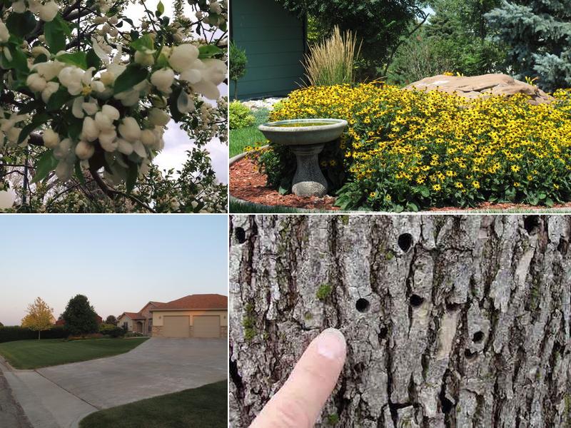 Rob Curtis Landscaping & Design