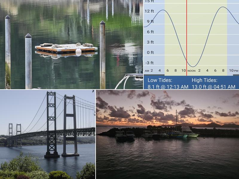 Matt Means Real Estate | RE/MAX Northwest