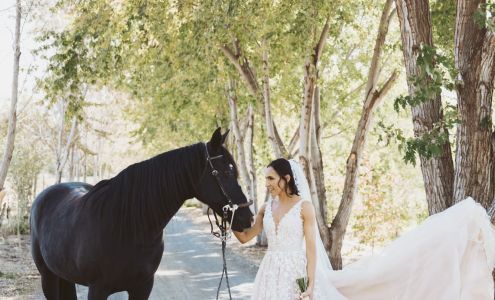 Summer Brander Photography